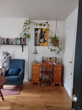 studio ( 1 person) in Fort Greene, Brooklyn