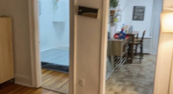 Bright and sunny 1BR nr NW Astoria Blvd/BQE pets ok