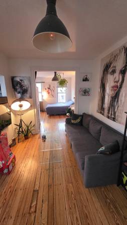 Bedford Ave Prime Entire Apt Williamsburg